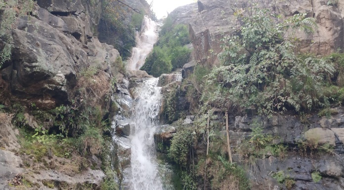 Ramgarh's evergreen waterfall 'Nimmi Jharna' is charming