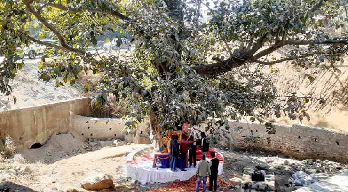 Tributes paid to freedom fighters Tikait Umraon and Sheikh Bhikhari