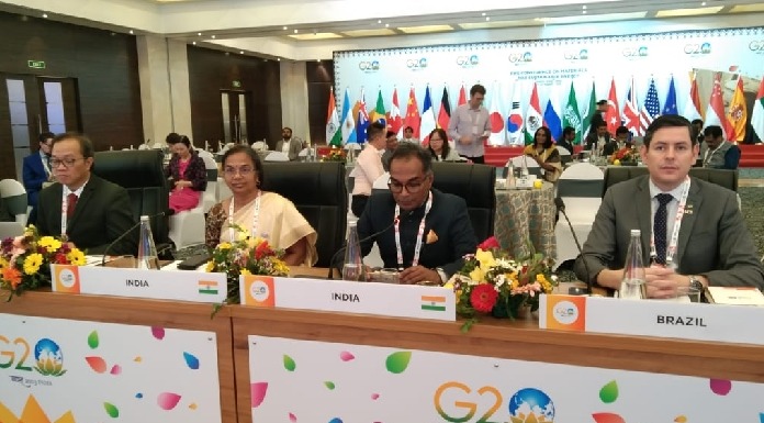 Two-day G20 conference on 'Sustainable Energy' begins in Ranchi