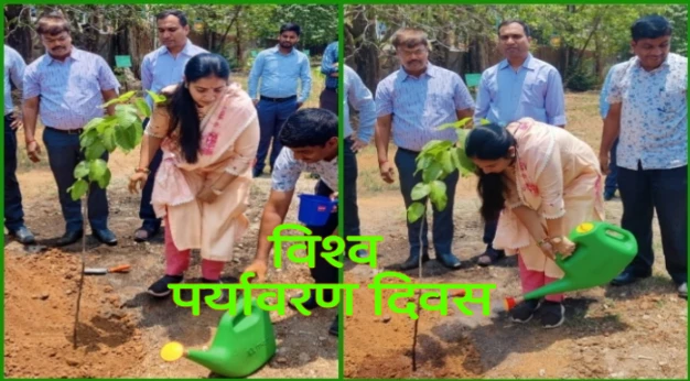 MNREGA commissioner planted saplings on World Environment Day
