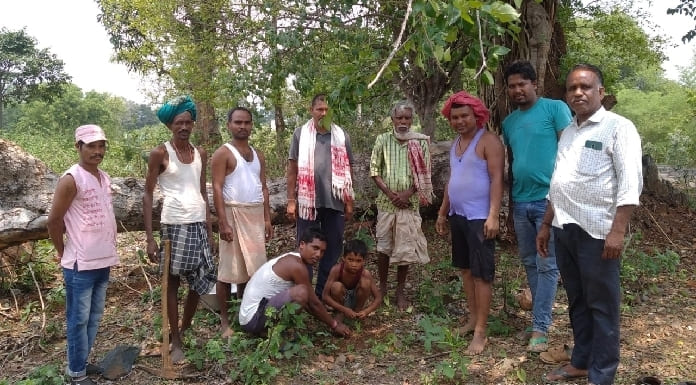 Villagers planted saplings at Jaspuria site
