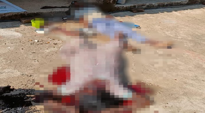 brother and sister-in-law murdered, killing them with an axe.