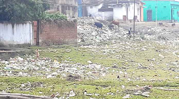 Garbage spread in Bhurkunda thana ground